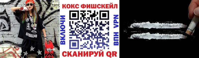 COCAIN Эквадор  Купить закладки  Михайловск 
