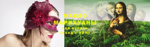 крисы Козельск