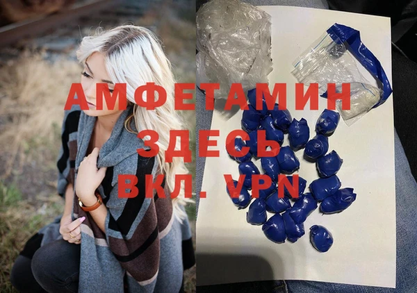 крисы Козельск