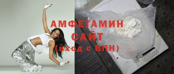 крисы Козельск