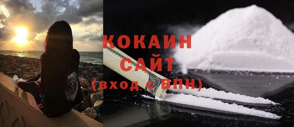 крисы Козельск