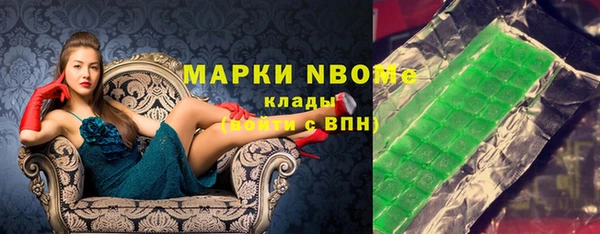 крисы Козельск
