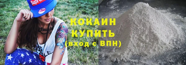 крисы Козельск