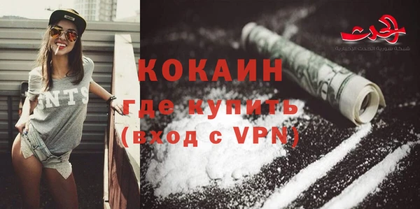 крисы Козельск