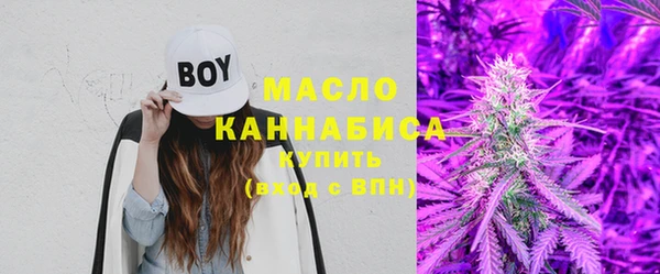 крисы Козельск