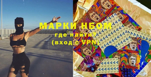 крисы Козельск