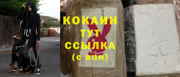 крисы Козельск