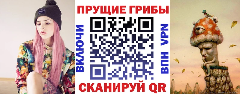 Галлюциногенные грибы Psilocybine cubensis  Купить  Михайловск 